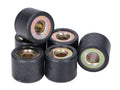 Role variator 101 Octane 16x13mm - 10,50g set 6 bucăți universal