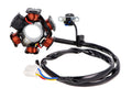 Stator Alternator 101 Octane pentru Peugeot, Hercules, Sachs 50/100cc
