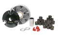 Variator Top Racing SV1 Speed pentru Piaggio, Gilera, Derbi, Aprilia, Vespa Modern și alte modele
