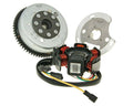 Kit stator și volant pentru motor D50B0 cu demaror electric Derbi, Aprilia RS 50, RS4 50 și alte modele