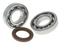 Set rulmenți arbore cotit RMS pentru Suzuki Burgman 250 AN250, Burgman 400 AN400 și alte modele