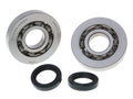 Set rulmenți arbore cotit RMS pentru Piaggio, Gilera, Italjet, Aprilia 125-180cc 2T