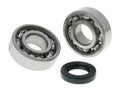 Set rulmenți arbore cotit RMS SKF pentru Piaggio, Vespa Mofa și alte modele