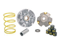 Variator Top Performances TPR GP pentru Piaggio, Gilera, Aprilia, Gilera și alte modele 50 2T 1998-