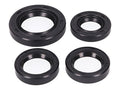 Set simering motor 101 Octane pentru Peugeot Jet Force 50, Speedfight 3 50, Citystar 50, Django 50, Kisbee 50 și alte modele