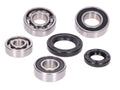 Set rulmenți cutie de viteze cu simeringuri pentru Peugeot, Hercules, Sachs motor vertical Euro1/2