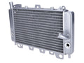 Radiator Gilera Runner, Piaggio Beverly, X9, X Evo și alte modele