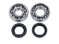 Set rulmenți arbore cotit pentru Yamaha DT 125 (2002-2022), DT 175 (1991-2014)