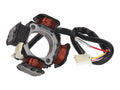 Stator Alternator 101 Octane 79mm pentru Derbi, Suzuki, Benelli, Italjet, Atala și alte modele (motor Morini, Derbi)