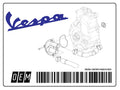 Spătar pasager Piaggio LX piele maro