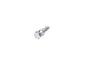 Șurub de siguranță Aprilia OEM 6x17mm universal