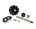 Kit reparație pompă de apă RMS pentru Piaggio 125-180cc 2 timpi