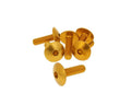 Set șuruburi carenaj Vparts cap hexagonal interior M6x20 aluminiu anodizat auriu 6 buc universal