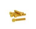 Set șuruburi Vparts hexagonale aluminiu anodizat auriu M6x30 - 6 bucăți - universal