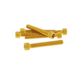 Set Șuruburi Vparts Hexagonale Interioare Aluminiu Anodizat Auriu M6x45 - 6 buc - universal