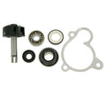 Kit reparație pompă apă 101 Octane pentru Yamaha Majesty 250, Linhai 260 ATV, Aeolius 260, Aeolius 300 și alte modele